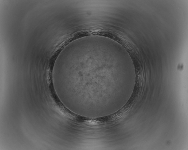 X0000090930654200707301556