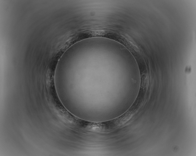 X0000090930655200707301556