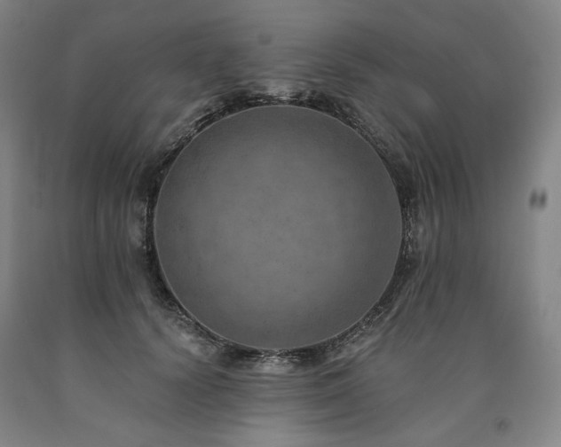 X0000090930656200707301556