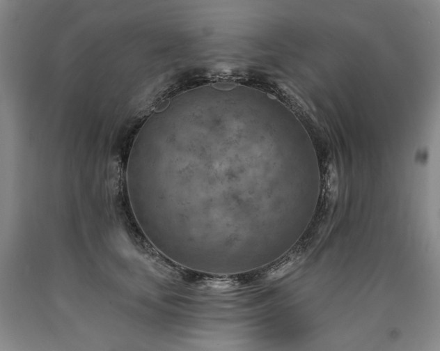 X0000090930659200707301556
