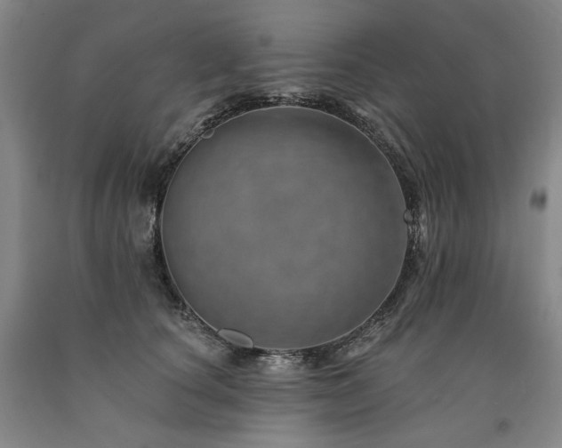 X0000090930660200707301556