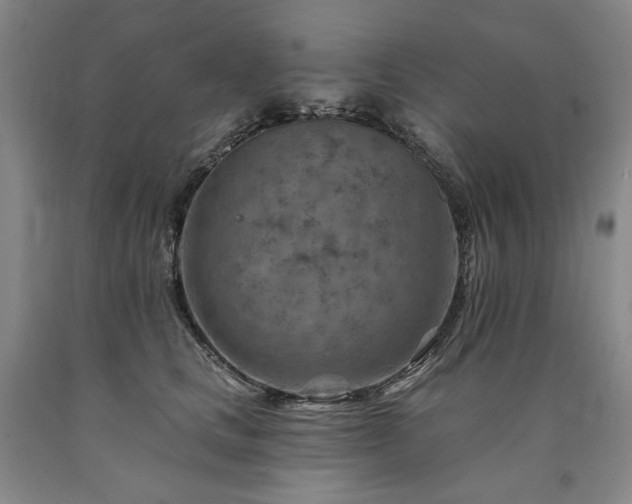 X0000090930661200707301556