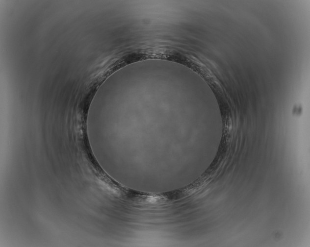 X0000090930663200707301556
