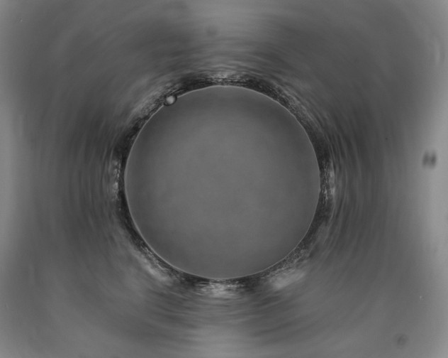 X0000090930664200707301556
