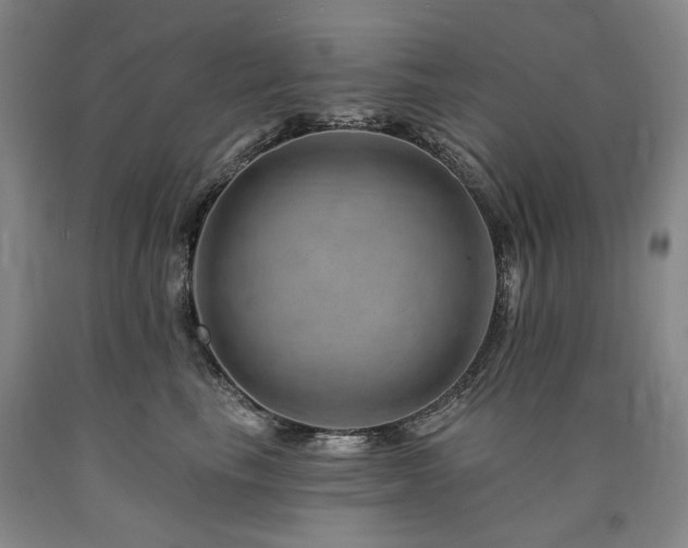 X0000090930665200707301556