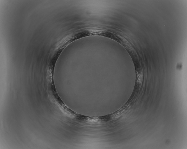 X0000090930666200707301556
