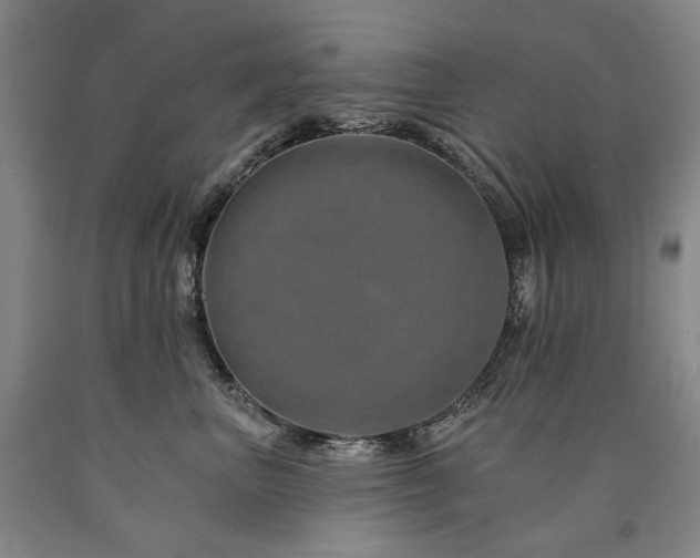 X0000090930667200707301556