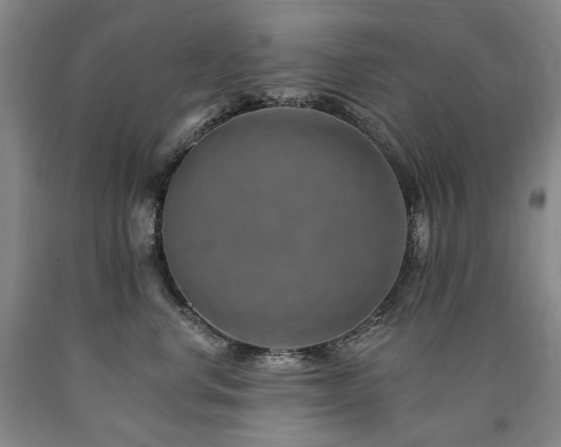 X0000090930668200707301556