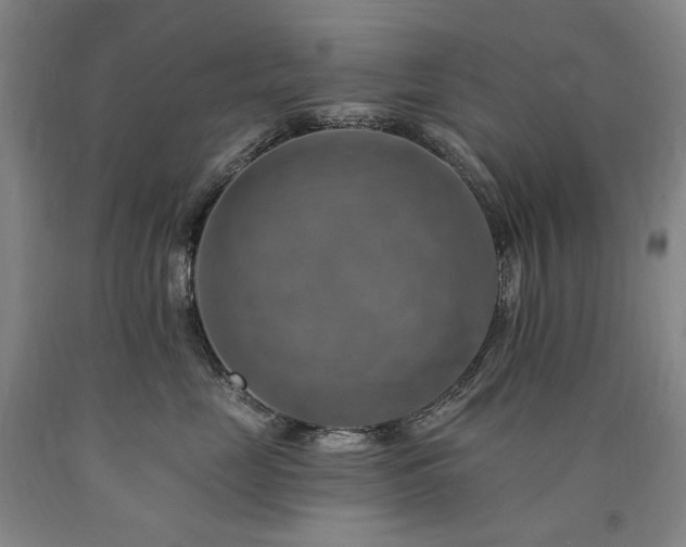 X0000090930669200707301556