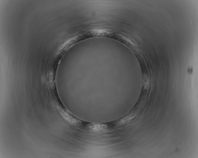 X0000090930670200707301556
