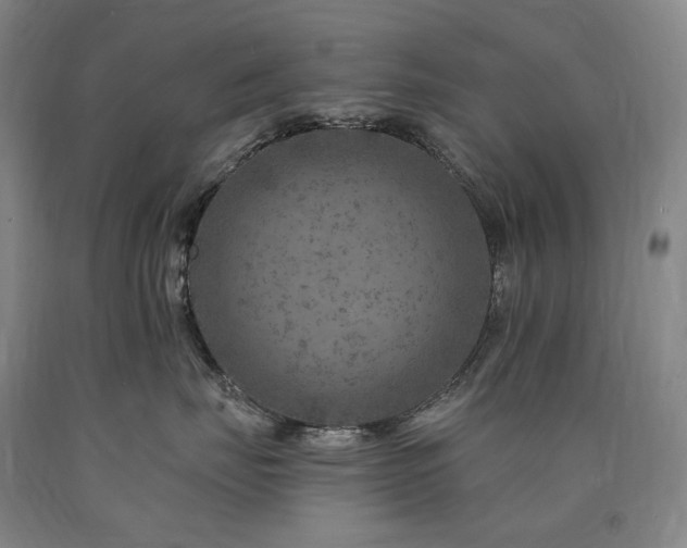 X0000090930671200707301556