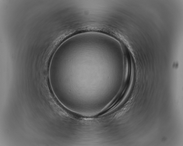 X0000090930673200707301556