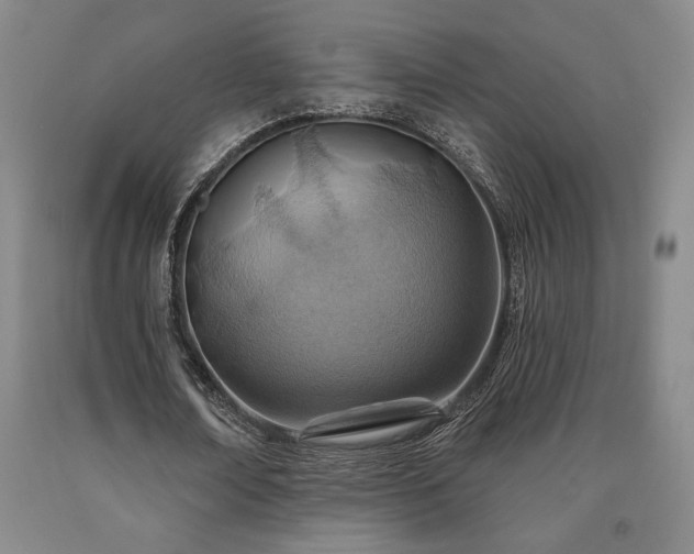 X0000090930674200707301556