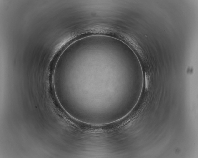 X0000090930675200707301556