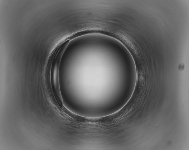 X0000090930676200707301556