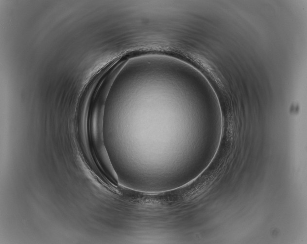 X0000090930677200707301556