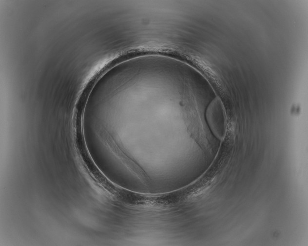 X0000090930678200707301556