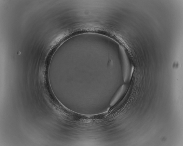 X0000090930679200707301556