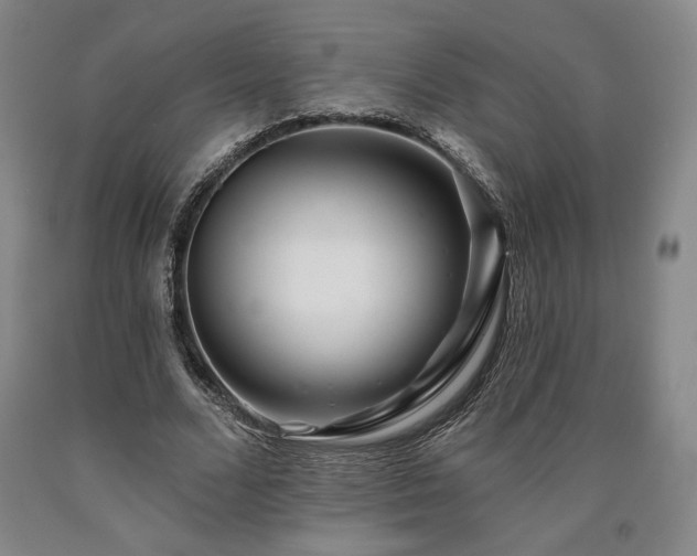 X0000090930680200707301556