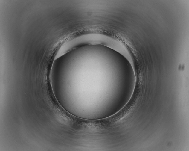 X0000090930681200707301556