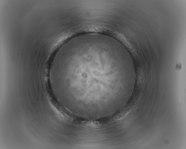 X0000090930683200707301556
