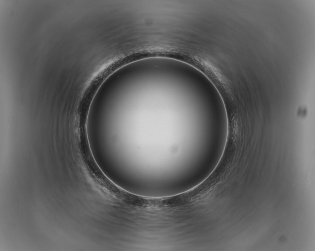 X0000090930684200707301556