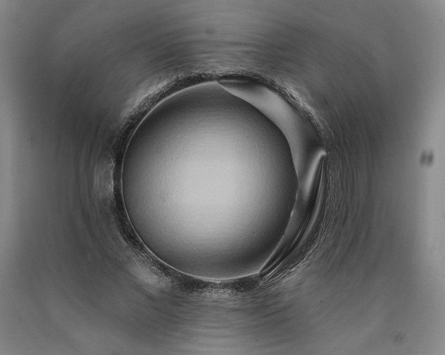 X0000090930685200707301556