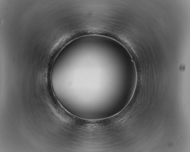 X0000090930686200707301556