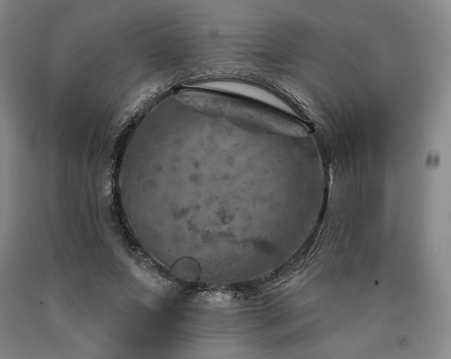 X0000090930687200707301556