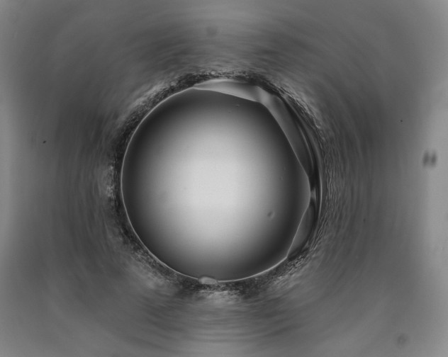 X0000090930689200707301556