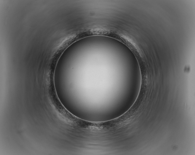 X0000090930690200707301556