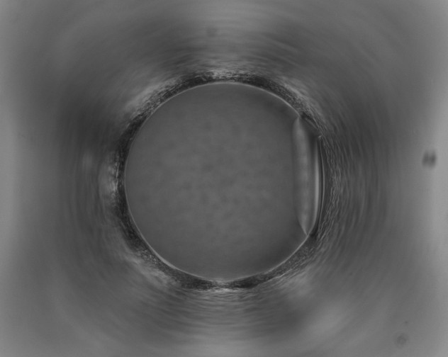 X0000090930691200707301556
