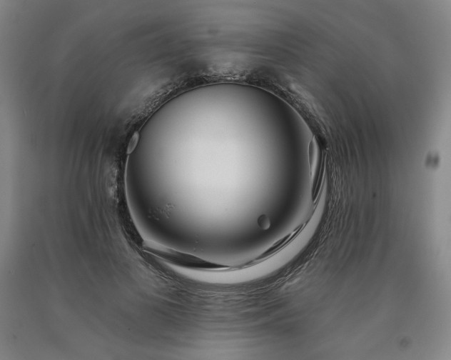 X0000090930693200707301556