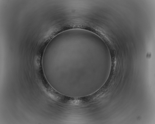 X0000090930695200707301556