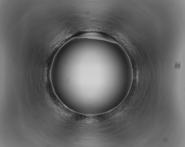 X0000090930696200707301556