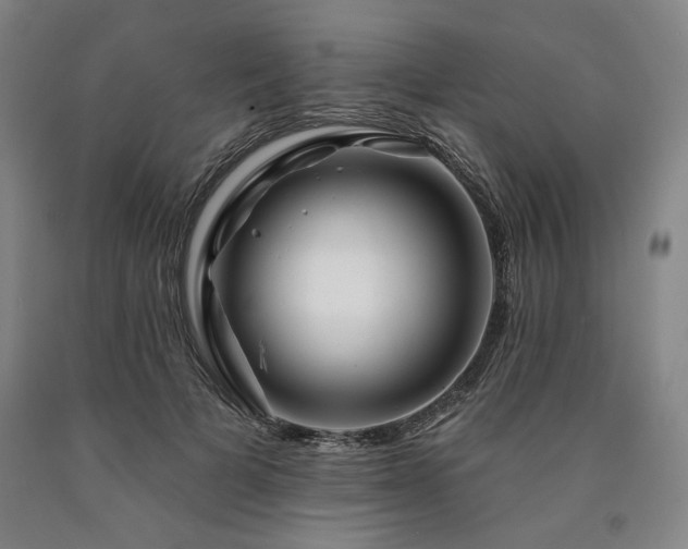 X0000090930697200707301556