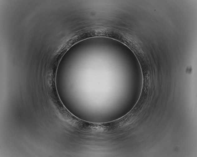 X0000090930698200707301556