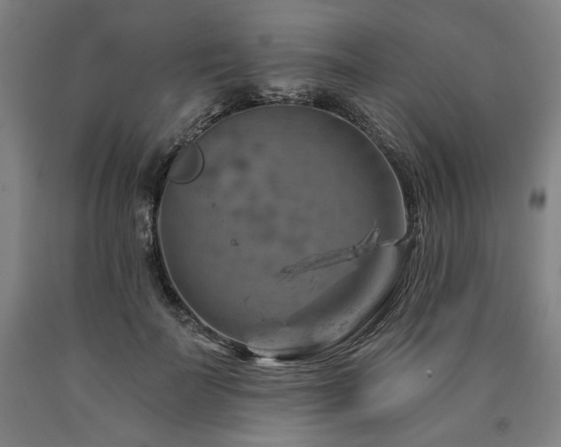 X0000090930699200707301556