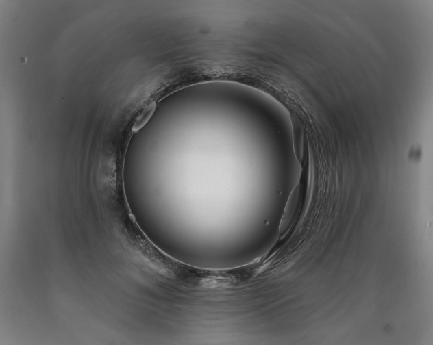 X0000090930700200707301555
