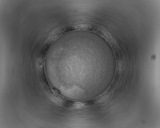X0000090930701200707301555