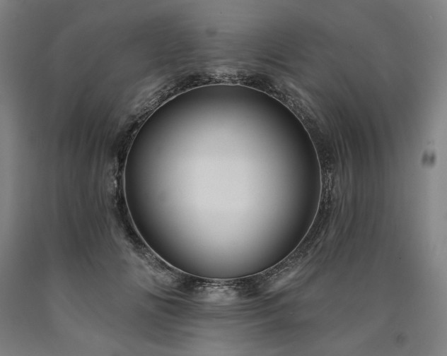 X0000090930702200707301555
