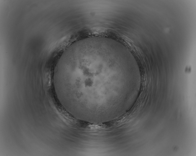X0000090930703200707301555