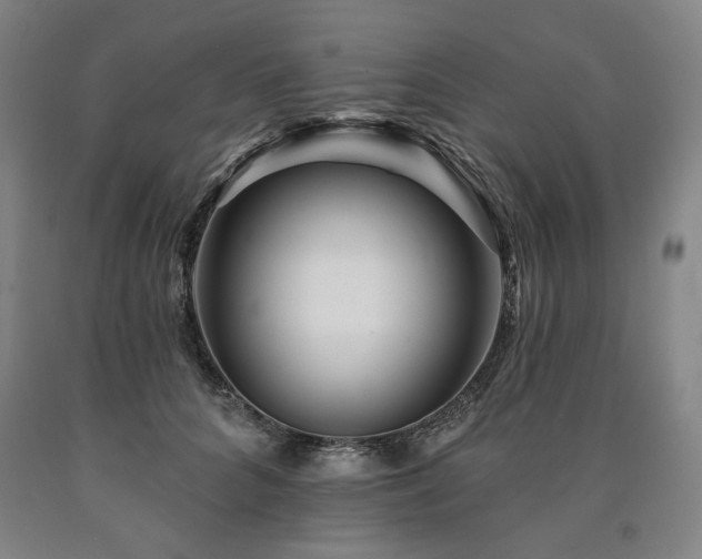 X0000090930704200707301555