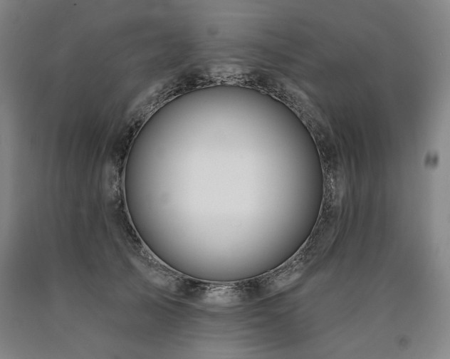 X0000090930705200707301555