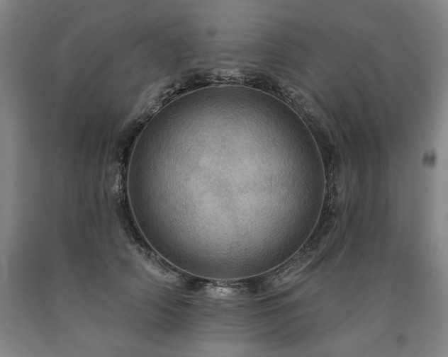 X0000090930706200707301555