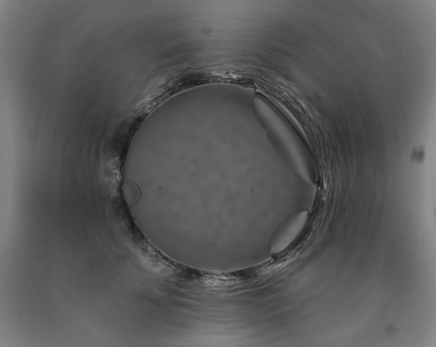 X0000090930707200707301555
