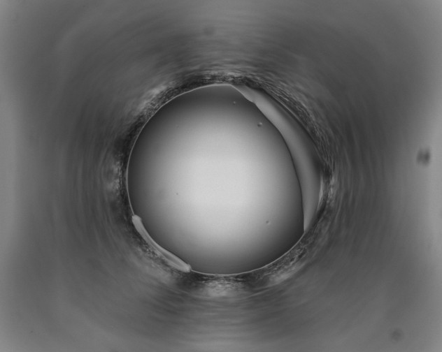 X0000090930708200707301555