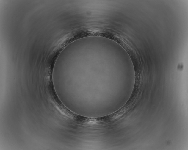 X0000090930710200707301555