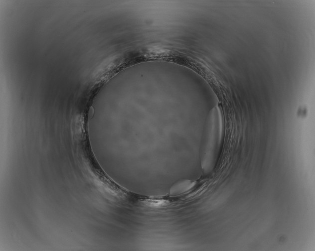 X0000090930711200707301555