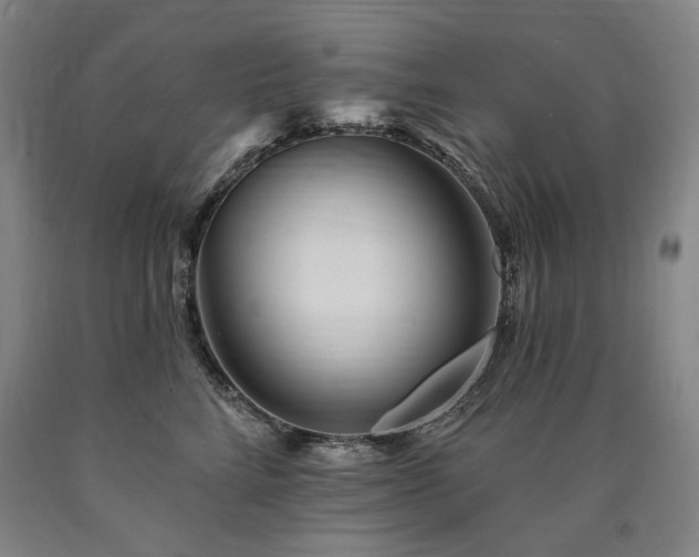 X0000090930712200707301555